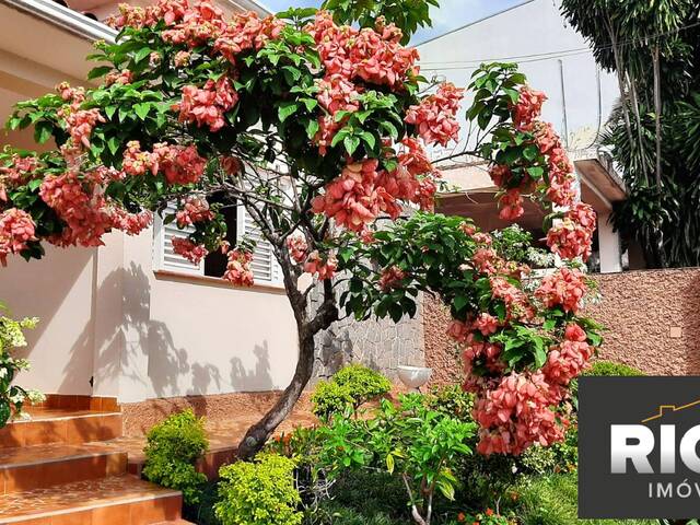 Casa para Venda em Piraju - 2