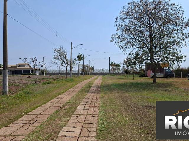 #662 - Terreno para Venda em Piraju - SP - 3