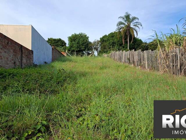 #728 - Terreno para Venda em Piraju - SP